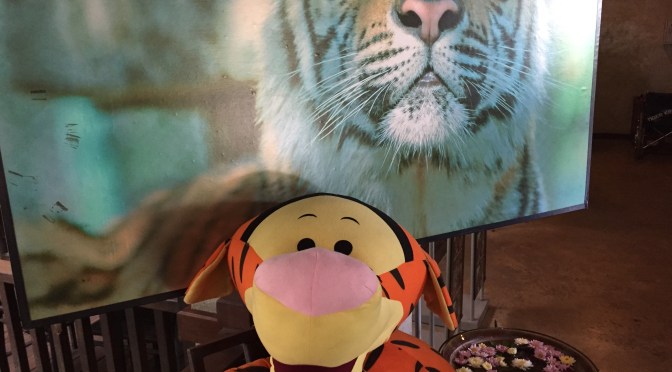 Indochina Tour: T’s Favorite Day!